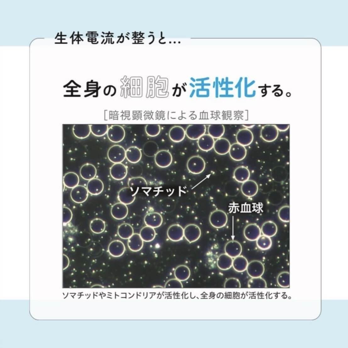 生体電流が整うと細胞が活性化する 生体電流が整うと細胞が活性化する