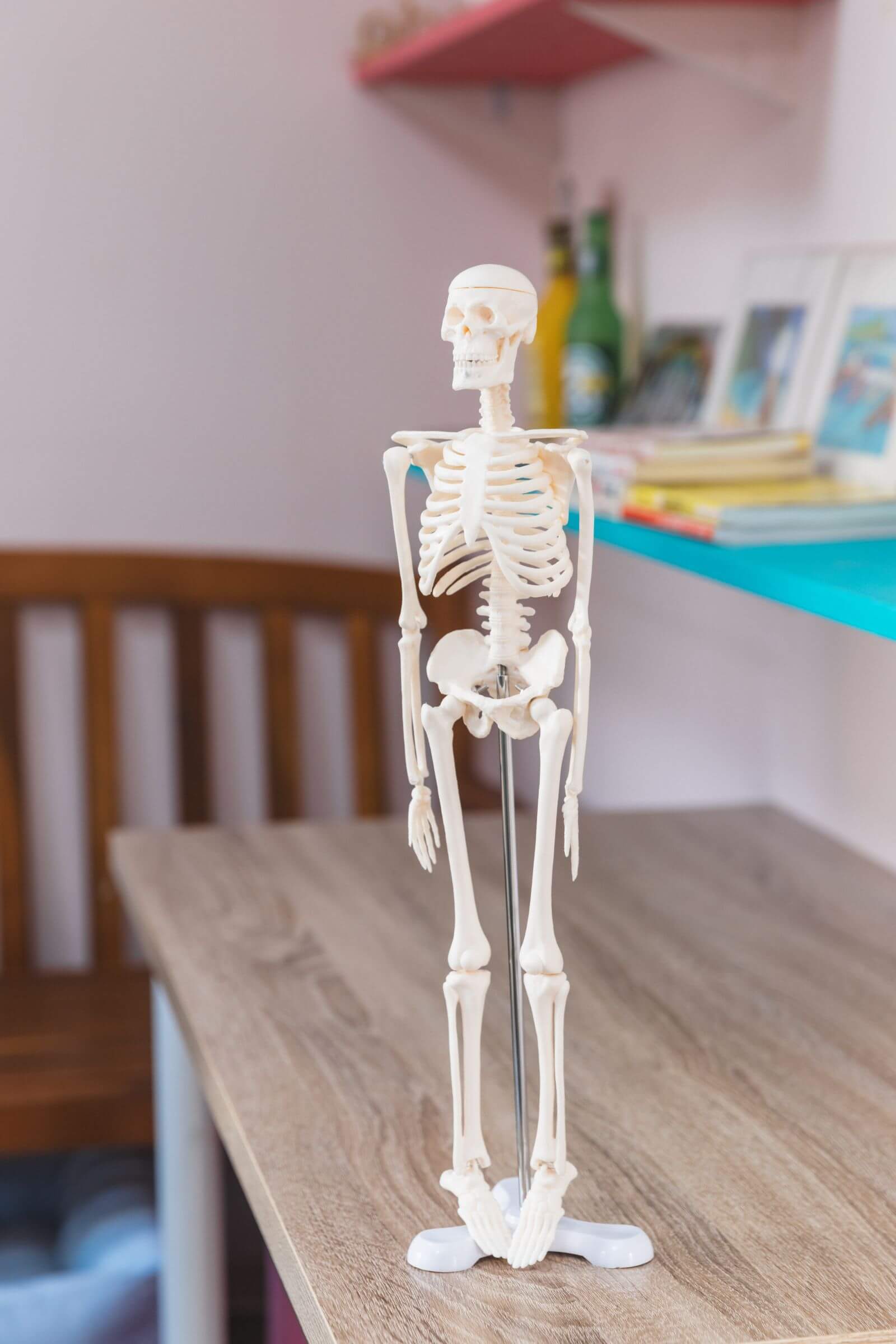 インテリア (1) (1)